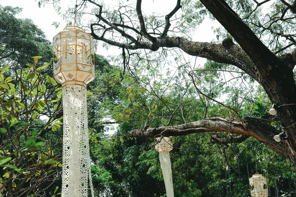 Lanterna di carta tradizionale appesa all'albero . — Foto Stock