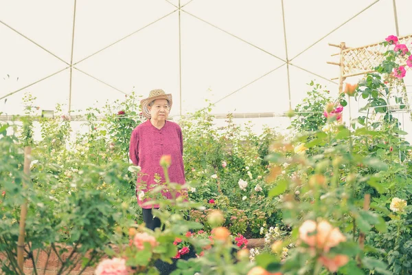 Old Elder Woman Resting Flower Garden Asian Elderly Female Relaxing — Stock Photo, Image