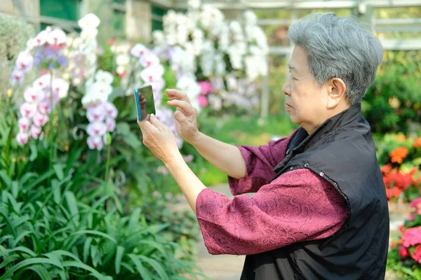 老妇人在花园里给花拍照 亚洲老年女性在户外放松 老年人休闲生活方式 — 图库照片