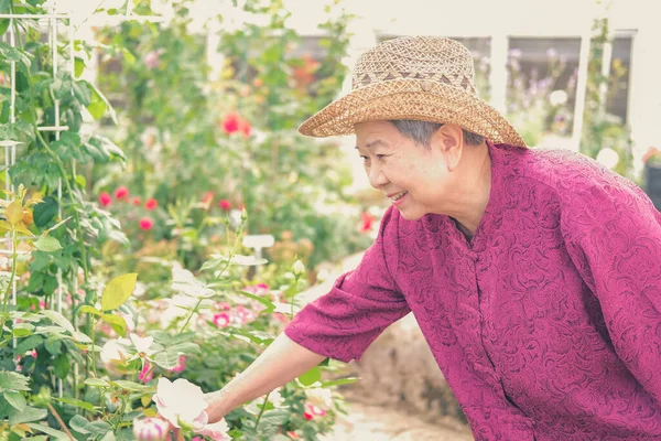 老妇人在花园子里休息 亚洲老年女性在公园里放松 老年人休闲生活方式 — 图库照片