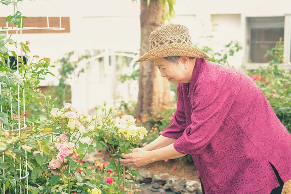 老妇人在花园子里休息 亚洲老年女性在公园里放松 老年人休闲生活方式 — 图库照片