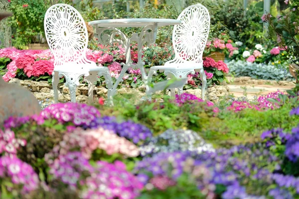 White Metal Seat Chair Flower Garden Park Spring Summer Stock Image