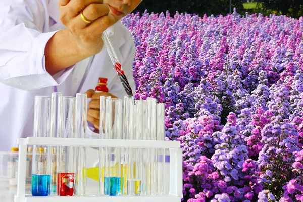 chemists or researchers are thinking of drug that will make flowers beautiful,resistant to insects and plant diseases.colorful flowering plant  in garden or platation to change after get new fertilizer.