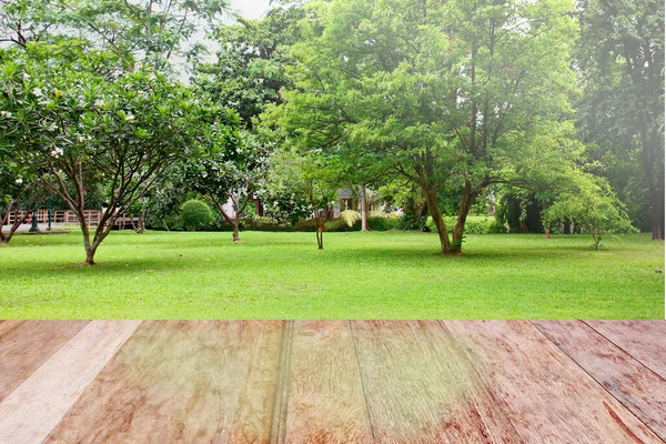 Espacio Madera Vacío Con Árbol Jardín Blank Espacio Para Agregar — Foto de Stock