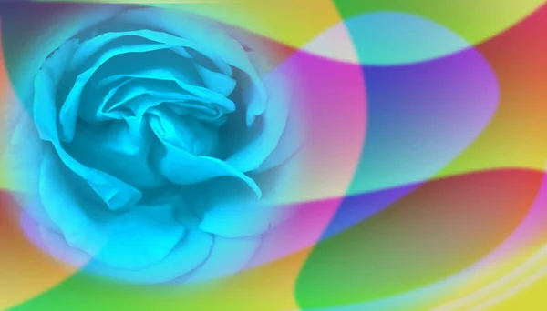 抽象圆形图案 蓝色玫瑰花瓣 无缝几何墙纸 线条和彩色抽象形状背景 — 图库照片