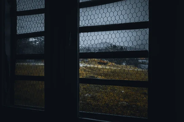 Window Raindrop Wire Mesh — Stock Photo, Image