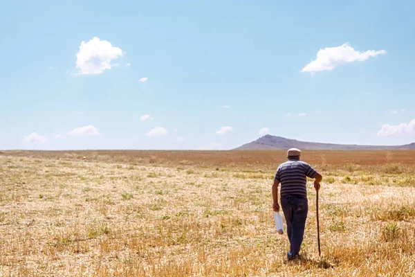steppe, man walking across field and sky