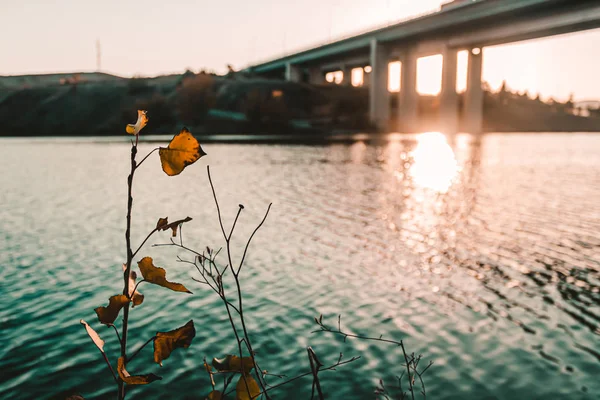 Západ Slunce Most Jezero Barvy Panoramatu — Stock fotografie