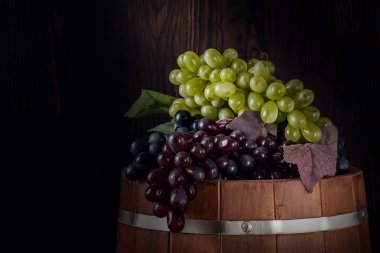 Bir varilde mahzende toplanmış kırmızı ve beyaz üzümler.. 