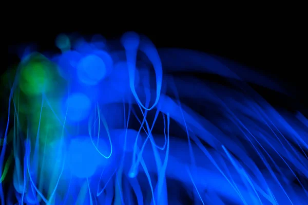 Abstract neon kleurrijke achtergrond. — Stockfoto