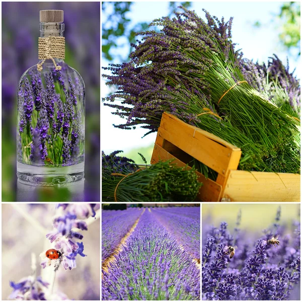 Lavendel Collage lila lizenzfreie Stockfotos