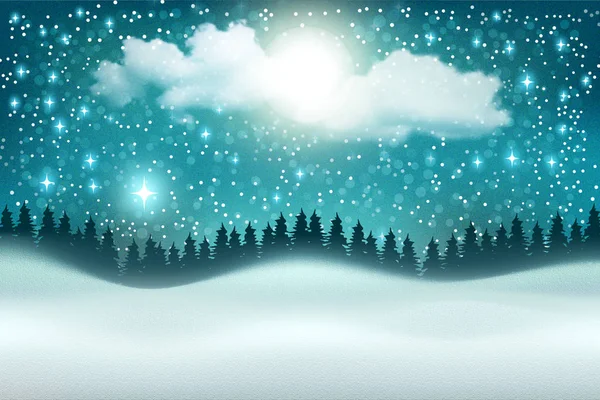 冬の夜の休日の雪のシーン 針葉樹林の田園風景 — ストック写真