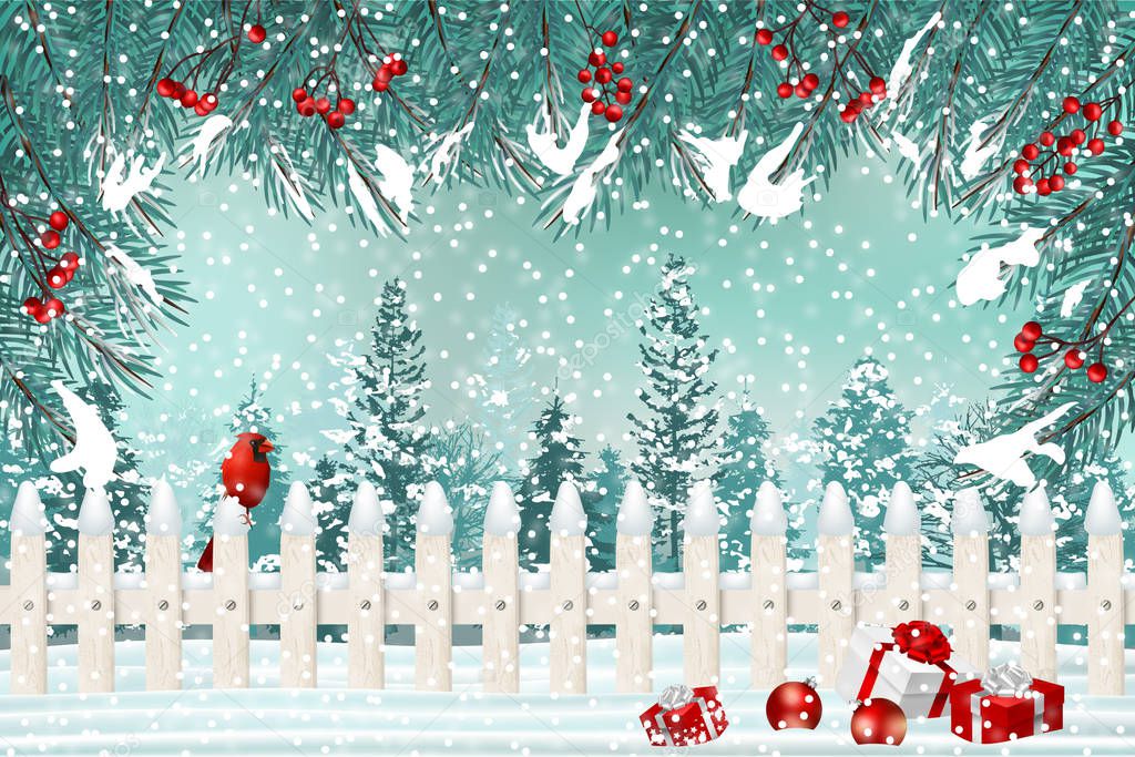 Christmas holiday backdrop. Winter natural landscape with white fence, cardinal, and gift boxes in snow.