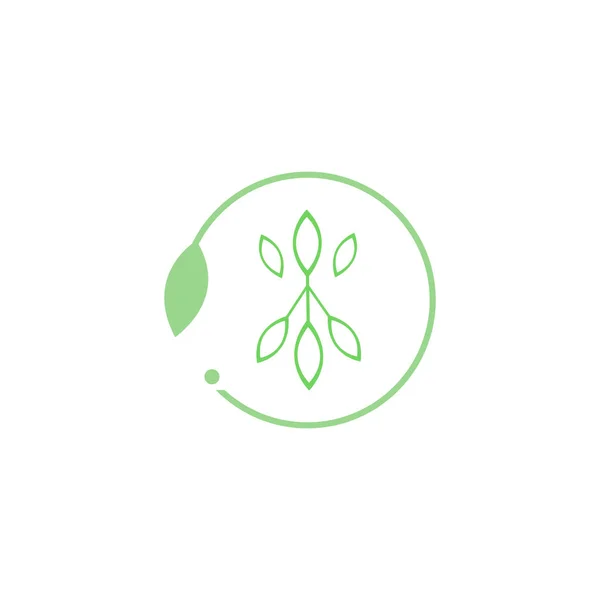 Modelo Logotipo Projeto Folha Design Ícone Natureza Verde —  Vetores de Stock