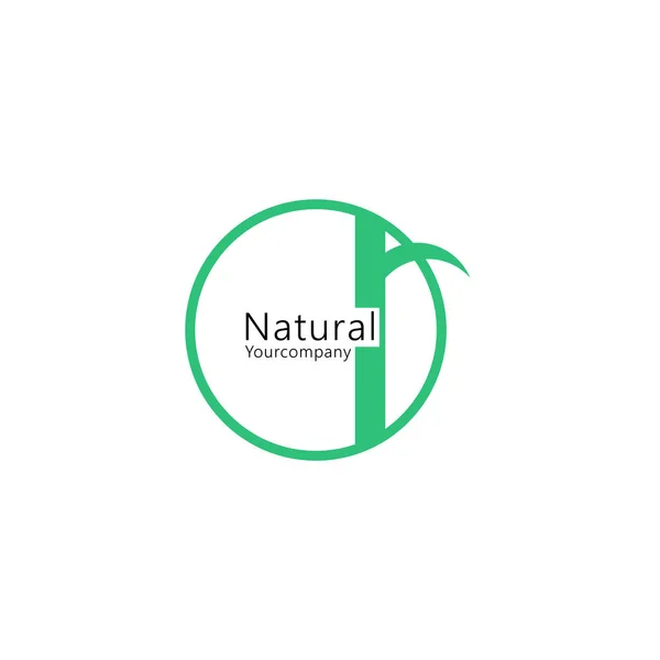 Yaprak Tasarım Logosu Şablonu Yeşil Doğa Simgesi Tasarımı — Stok Vektör