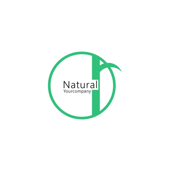 Bladontwerp Logo Template Groene Natuur Icoon Ontwerp — Stockvector