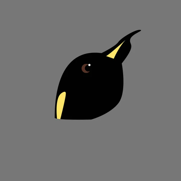 Illustrazione Vettoriale Testa Pinguino Icona Logo Testa Pinguino — Vettoriale Stock