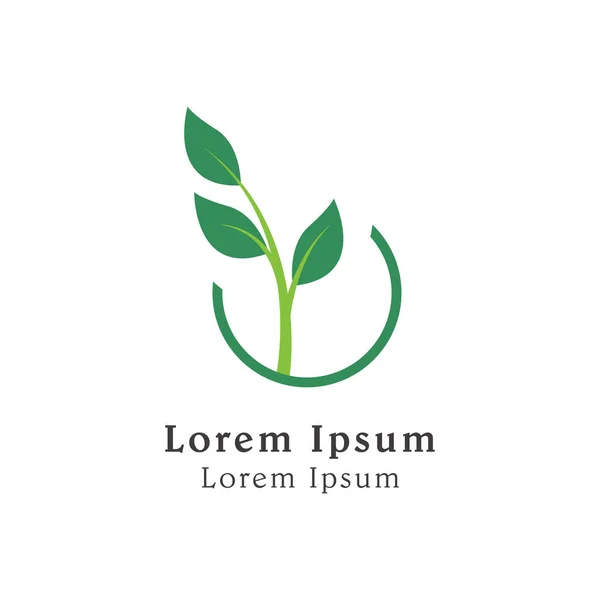 Ikona Logo Zielony Liść Natury Ikona Symbolu Liścia — Wektor stockowy