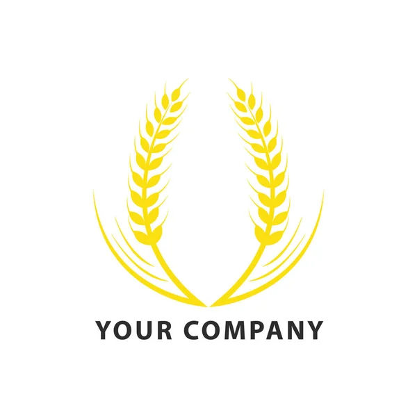 Шаблон Дизайну Логотипу Пшеничного Вирощування Шаблон Дизайну Логотипу Сільськогосподарської Пшениці — стоковий вектор