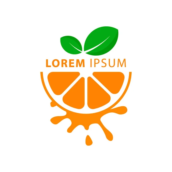 Plantilla Logotipo Naranja Vector Icono Fruta Diseño Rebanada Fruta Naranja — Archivo Imágenes Vectoriales