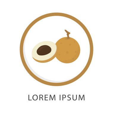 Longan meyvelerinin taze logo vektörü. Longan meyveli logo tasarımı. meyve logosu.