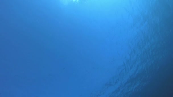 Agua submarina azul del mar — Vídeo de stock