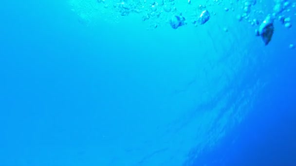Bolhas de ar subindo até a superfície azul — Vídeo de Stock