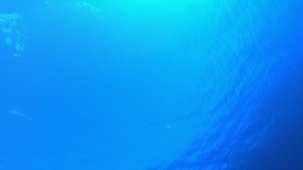Meeresblaue Wasserwellen — Stockvideo