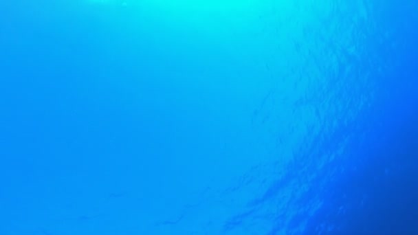 Vagues d'eau de mer turquoise bleue — Video