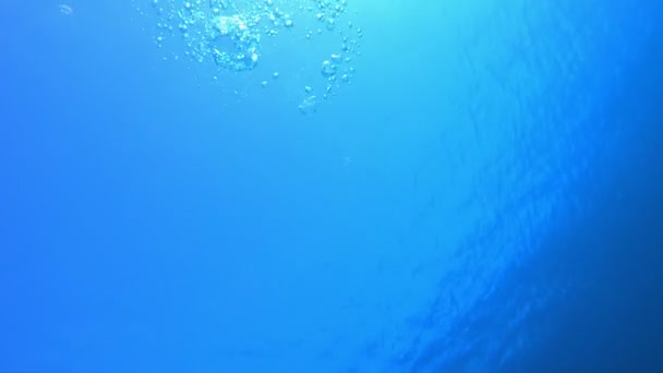 Blue Sea Surface Red-Sea — Stock video