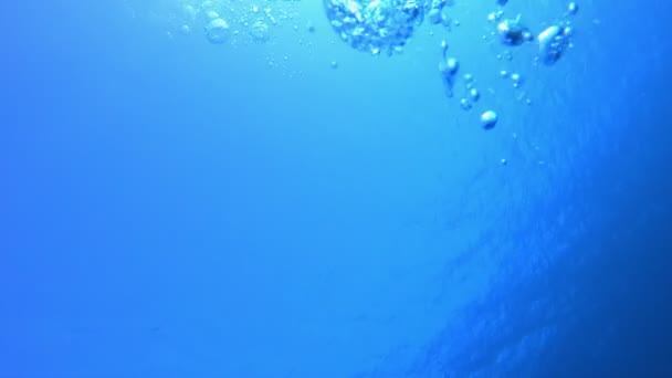 Blaue Unterwasserwelt — Stockvideo