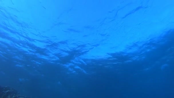 Eau de surface de mer bleue — Video