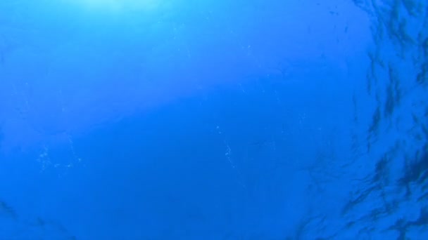 Kék tengervíz háttér — Stock videók