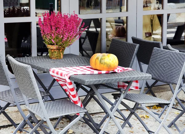 Пустой стол на террасе, украшенный тыквой и цветами — стоковое фото