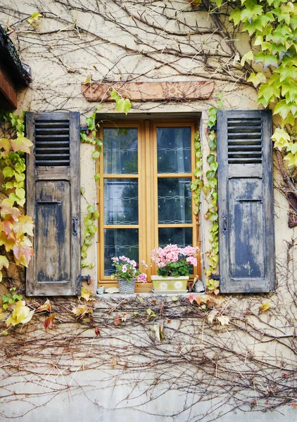 Houten venster ingelijst met wijnbladeren en klimop. — Stockfoto