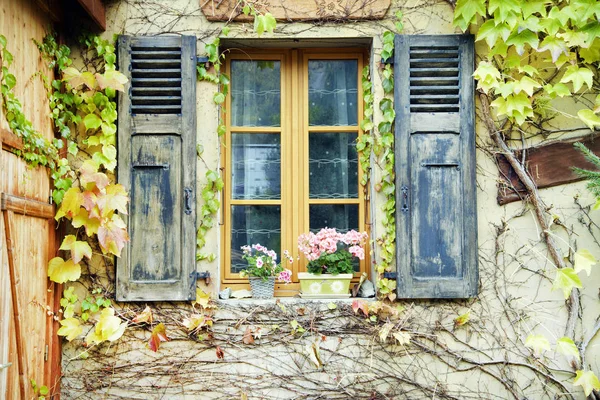 Houten venster ingelijst met wijnbladeren en klimop. — Stockfoto