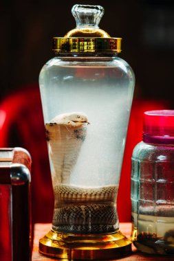 Turistler Ha Long Bay 'deki küçük Cat Ba adasında Yılan Şarabı' nı denerler. Yılan, akrepler ve böcekler gibi diğer ilaçların yanında bir kavanozda öldü.