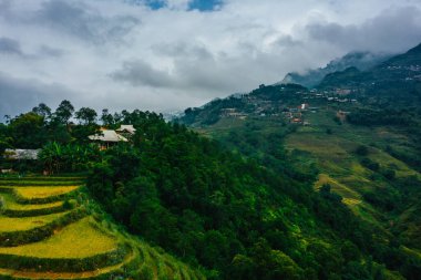 Toplanan yeşil pirinç teraslarının ve Sapa, Kuzey Vietnam 'daki küçük barakaların en iyi kuş bakışı görüntüsü. Sonbaharda, Ekim 2019 'da çekildi.