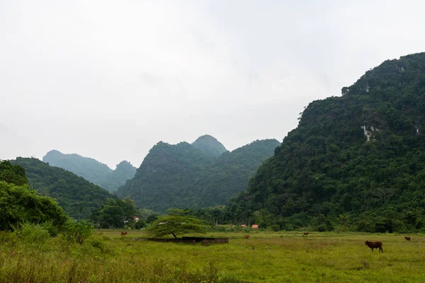 Krásné skryté Cat Ba Island, který je pravidelně navštěvován výlety lodí kolem Ha Long Bay výstřel na jasný den na podzim — Stock fotografie