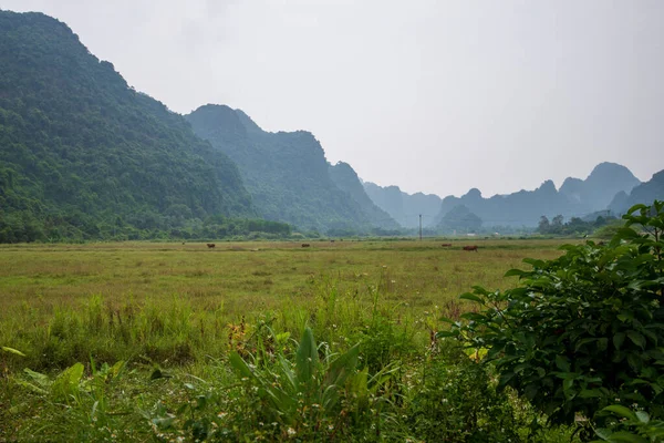 Krásné skryté Cat Ba Island, který je pravidelně navštěvován výlety lodí kolem Ha Long Bay výstřel na jasný den na podzim — Stock fotografie