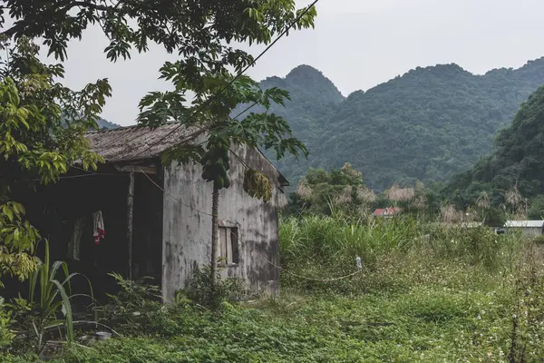 Una choza de hormigón abandonada en Cat Ba Island que es visitada regularmente por paseos en barco alrededor de Ha Long Bay filmados en un día brillante en otoño. —  Fotos de Stock