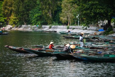 Vietnamlı kürekçiler, Tam Coc ve Ninh Binh 'de tekne turlarına hazırlanmak için birlikte kürek çekiyorlar.