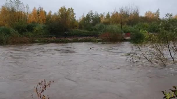 2019. november 7. - Sheffield árvizek és a Don folyó partot tör az Egyesült Királyságban, Dél-Yorkshire-ben történt heves esőzések után. — Stock videók