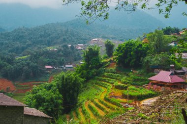 Kuzey Vietnam 'daki Kedi Köyü' nü çevreleyen pirinç teraslarının ve dağların çarpıcı görüntüsü.