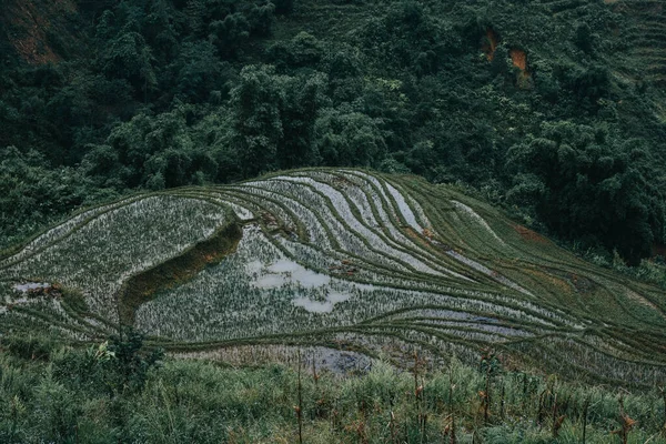 Terrazas inundadas de arroz disparadas antes del atardecer en Sapa, Vietnam del Norte, en lo alto de las montañas — Foto de Stock