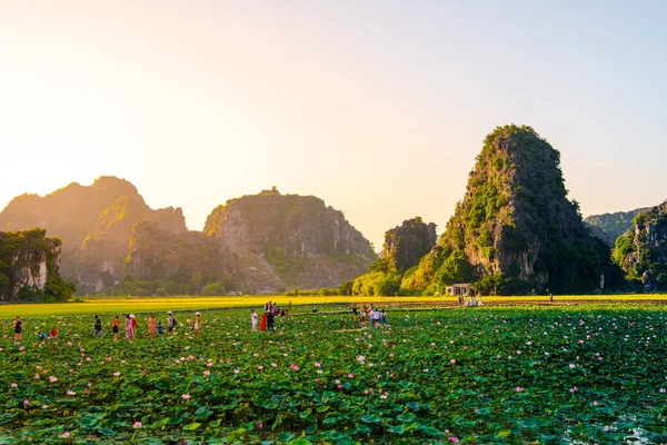 Tam Coc, Vietnam - 19. října 2019: Krásný časný západ slunce jako turisté se hrnou do Viset Mua fotit kolem lilypads proti krásné krajině — Stock fotografie