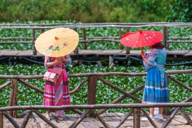 Turistler, Cat adındaki küçük dağlık köyde çiçek tarlalarına karşı fotoğraf çekiyorlar.