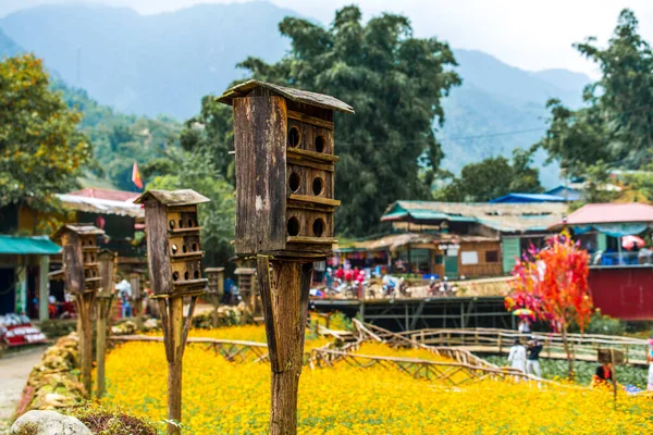 Little bird boxes line fields full of bright yellow flowers in the small mountain village of Cat Cat in Northern Vietnam, near Sapa