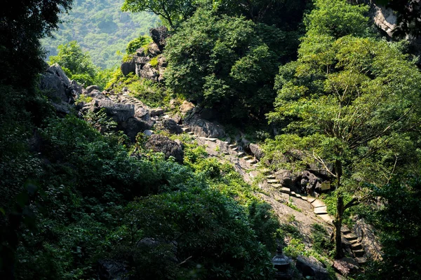 A secret path through the rainforest in Vietnam towards an old hidden buddhist temple with light pouring through a gap in the trees