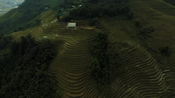 Aerial drone footage of rice terraces in Sapa, Northern Vietnam -October 2019 — Wideo stockowe